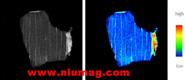（NMI20-25） 核磁共振食品分析与成像系统